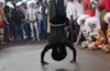 Mangaluru: Tiger dancer injured while performing stunt